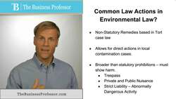 Environmental Law - Common Law Actions Instructional Video