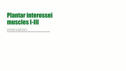 Pectoralis major muscle Instructional Video