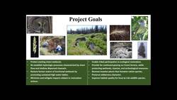 Ackerson Meadow Public Webinar Recording - August 5, 2020 Instructional Video