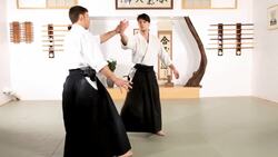 How to Do Kotegaeshi in Aikido Instructional Video