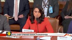 Trump's White House scrambles to handle Signalgate fallout News Clip