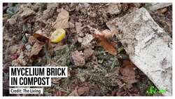 What Our Buildings Will Look Like in the Future Instructional Video