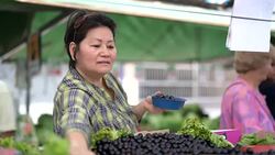 Japanese Ethnicity Woman Buying Jabuticaba / Jaboticaba on Farmers Market Stock Footage