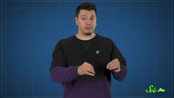 3 Ridiculous Ways Plants Get Sick Instructional Video