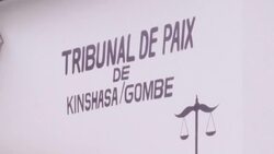 CLEAN : Belgian filmmaker Thierry Michel sued for plagiarism by Congolese film duo News Clip