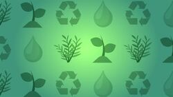 I WONDER - How Do Indigenous People Help Biodiversity? Instructional Video