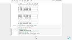 Python for Machine Learning - The Complete Beginners Course - Implementation in Python: Encoding Categorical Data - Classification Algorithms: Decision Tree Instructional Video