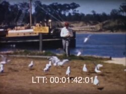 Eden To Sydney Stock Footage