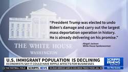 Immigrant population in the US has started to decline for the first time in years News Clip