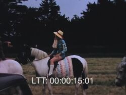 Miniature Railway At Fair Stock Footage