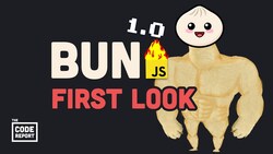 Bun is Disrupting JavaScript Instructional Video