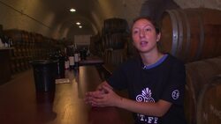 Vineyards under pressure from climate change  AMENDED SCRIPT ++ News Clip