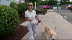 Cheap gas and plane tickets means a busy Labor Day weekend News Clip