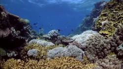 Rocks and Minerals Instructional Video