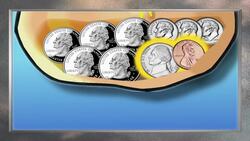 Review for You: Experiments and Probability Instructional Video