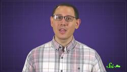 Why Does Melted Cheese Taste So Much Better? Instructional Video