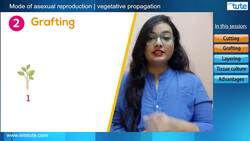 Vegetative Propagation: Asexual Mode of Reproduction in Plants Instructional Video