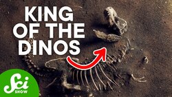 The Fiercest of Them All: Meet the T-Rex Instructional Video