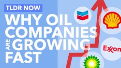 Markets are Collapsing. Oil Companies Are Thriving - TLDR News Instructional Video