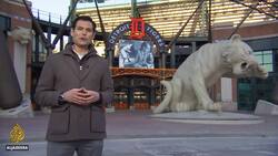 US primaries: Battle for votes in the Midwest News Clip