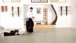 How to Do Tanto Tori in Aikido Instructional Video