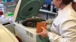 Lab workers swab for coronavirus in Wales News Clip