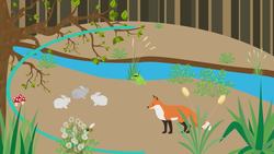 Key Ecology Terms Instructional Video