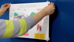 Thinking of learning 3D anatomy? Think again. Instructional Video