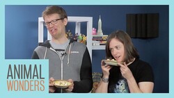 Animal Food Taste Test with Hank & Katherine Green Instructional Video