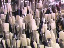 How to Choose a Paintbrush Instructional Video