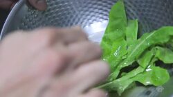 Baraboom Instructional Video