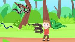 I WONDER - How Many Species Of Snake There Are? Me Pregunto - Cuántas Especies De Serpientes Existen? Instructional Video