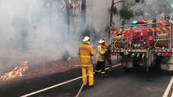 Firefighters battle blaze on NSW south coast Instructional Video