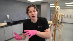 Anatomy of the Pericardium: Why Hearts Are in a Sac Instructional Video