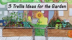 Innovative Trellis Designs for Enhancing School and College Gardens Instructional Video