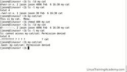 Linux Administration Bootcamp: Go from Beginner to Advanced - File and Directory Permissions Explained - Part 2 Instructional Video
