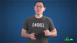 Do Animals Appreciate Music? Instructional Video