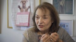 Argentine orangutan to go to US great ape sanctuary News Clip