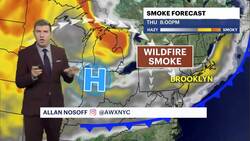 Sunny and warm weather with lower humidity for the weekend in Brooklyn News Clip