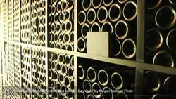 What Are the Highlights of the Rio Las Vegas? Instructional Video