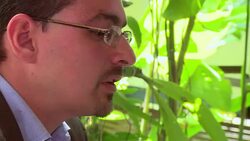 VOICED : Villalta, candidato de la izquierda en Co News Clip