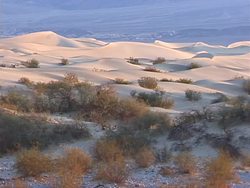 Changes on Earth Review Instructional Video