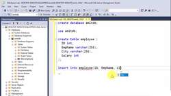 SQL Server Course for Beginners with 100+ examples - Insert Records Instructional Video