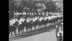 Livestock show in Toronto News Clip