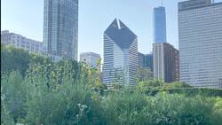 Describing Climate Instructional Video