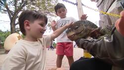 Take a fun trip with the family to White Post Farms News Clip