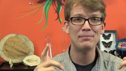 Venomous Mammals, Sensory Receptors & the Moon's True Origin Story Instructional Video