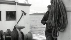 How an unprecedented number of deaths put the endangered North Atlantic right whale's future in peril News Clip