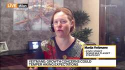 Veitmane: Growth Woes Could Temper Hiking Expectations News Clip