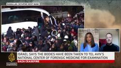 Only return of all captives and lasting peace will bring closure: Israeli activist News Clip